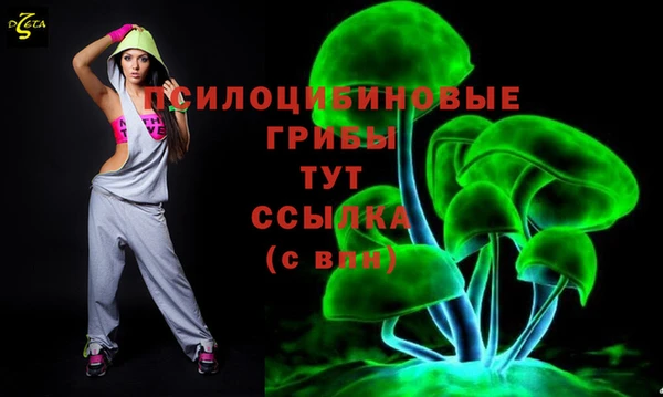 прущие грибы Тайга