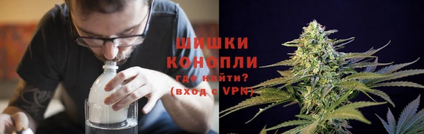 2c-b Белокуриха