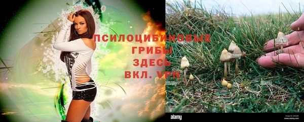 молекула духа Белоозёрский