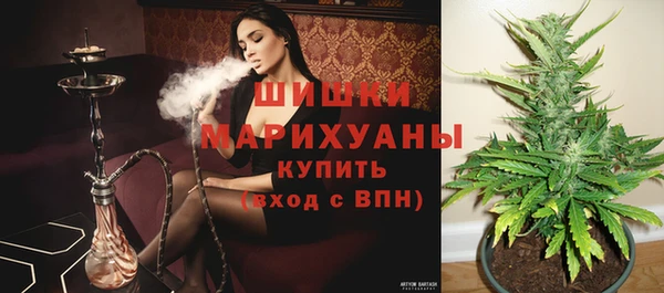 молекула духа Белоозёрский