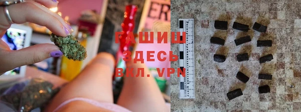 шишки Сясьстрой
