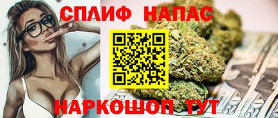 гидропоника Можга