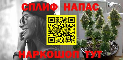 mdpv Моздок