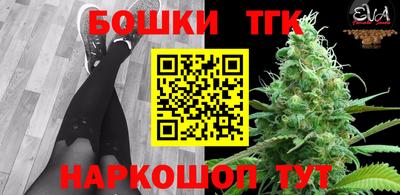 гидропоника Можга