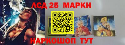 гидропоника Можга