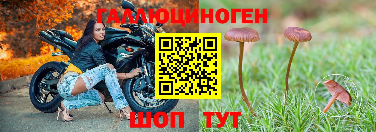 Псилоцибиновые грибы мицелий  Вход с VPN  Псилоцибиновые грибы GOLDEN TEACHER  Вязники 