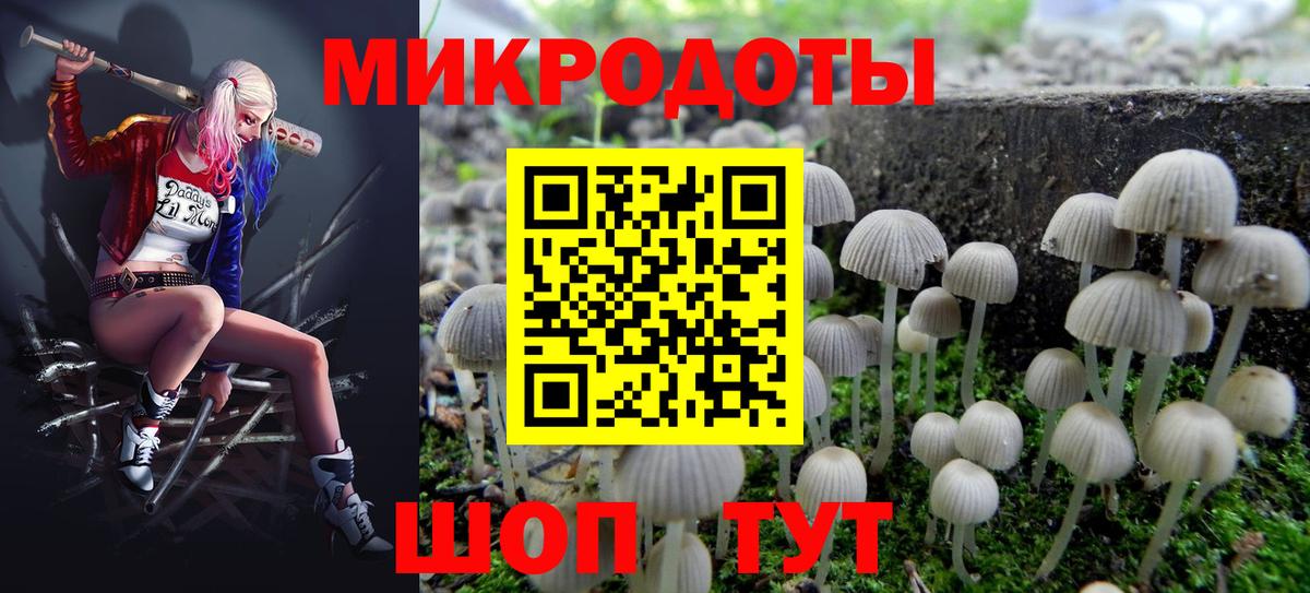 Псилоцибиновые грибы Psilocybine cubensis Вязники